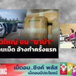 ยกฟ้อง-“พิงกี้-ครอบครัว”-คดี-international-replace-3d-:-13-สิงหาคม-2569-fm91-|-2026-08-13-13:17:00