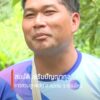 (13/8/69)-…ชาวสวนลูกพลับ-ตแม่นาจร-อแม่แจ่ม-จ.เชียงใหม่-ส