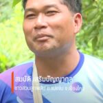 (13/8/69)-…ชาวสวนลูกพลับ-ตแม่นาจร-อแม่แจ่ม-จ.เชียงใหม่-ส