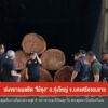 เร่งขยายผลยึด-“ไม้ซุง”-อทุ่งใหญ่-จ.นครศรีธรรมราช-ข่าวใต้แล