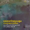 นี่คือภาพจากดาวเทียมบริเวณปากแม่น้ำเจ้าพระยา-ชายฝั่งจังหวัดส