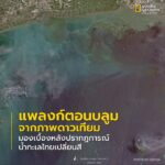 นี่คือภาพจากดาวเทียมบริเวณปากแม่น้ำเจ้าพระยา-ชายฝั่งจังหวัดส