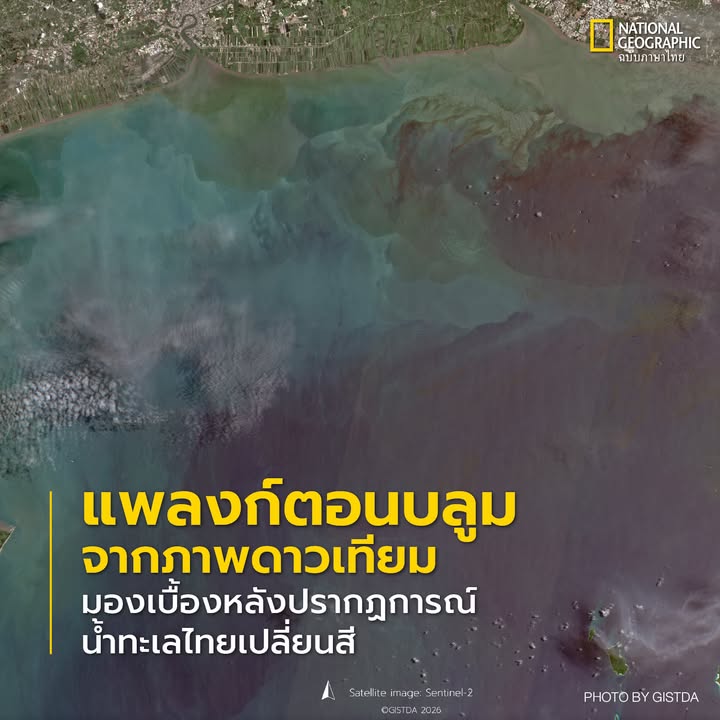 นี่คือภาพจากดาวเทียมบริเวณปากแม่น้ำเจ้าพระยา-ชายฝั่งจังหวัดส