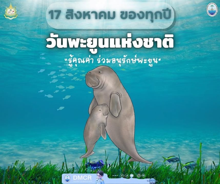 17-สิงหาคม-2569-วันอนุรักษ์พะยูนแห่งชาติ-ร่วมสร้าง