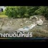 ถมดินให้ฟรี แฝงกากพิษของเสียอันตราย | ข่าวเช้าช่องวัน | สำนักข่าววันนิวส์