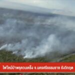 ไฟไหม้ป่าพรุควนเคร็ง-จ.นครศรีธรรมราช-ยังวิกฤต-ข่าวใต้แลได้ท