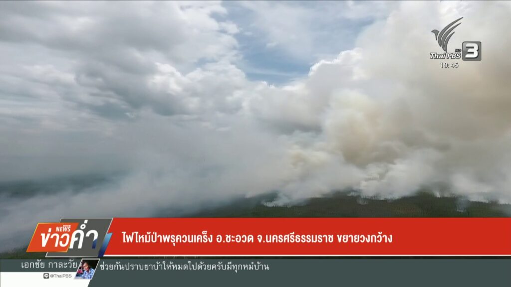 ไฟไหม้ป่าพรุควนเคร็ง-อชะอวด-จ.นครศรีธรรมราช-ข่าวใต้แลได้ที