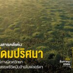 โดมไม้ทรงกลมสีเขียวที่เห็นนี้-เมื่อมองจากด้านบนลักษณะคล้ายกล