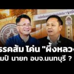 “พรรคส้ม”โค่น “ผึ้งหลวง” แชมป์ นายก องค์การบริหารส่วนจังหวัดนนทบุรี ? | ​ 18 ส.ค. 69
