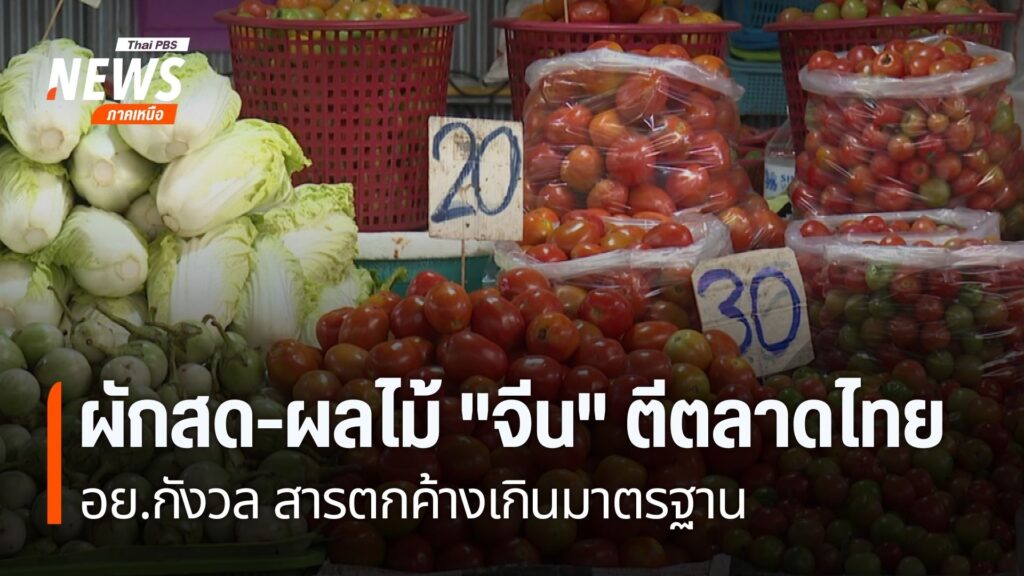 สินค้าผักและอาหารจากประเทศจีนกำลังครองตลาดประเทศไทย-จากข้อได