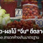 สินค้าผักและอาหารจากประเทศจีนกำลังครองตลาดประเทศไทย-จากข้อได