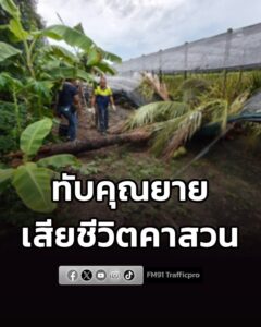 คุณยายวัย-74-ปีเดินเก็บมะระขี้นก-เกิดลมกระโชกแรงก่อนฝนตก-ต้น-|-2026-08-18-20:50:00