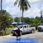 กรมทะเล-ลาดตระเวนพื้นที่ป่าชายเลนสตูล-2,200-ไร่-ป้องกันการบ