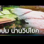 น่านวิปโยค ไขปมปริศนามหามวลน้ำ | ข่าวเย็นช่องวัน | สำนักข่าววันนิวส์