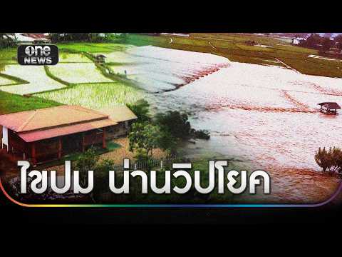 น่านวิปโยค ไขปมปริศนามหามวลน้ำ | ข่าวเย็นช่องวัน | สำนักข่าววันนิวส์