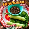 พากันได้หยังกินแลงพี่น้อง-มาเด้อ-กินป่นกุ้งนำกัน-(feed-gen