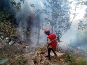 5-individuals,-ecuador-survey-chief-killed-in-kenya-chopper-crash