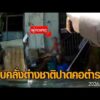 รวบแล้ว ต่างชาติลักทรัพย์ร้านสะดวกซื้อ วิ่งหนีบนถนน คัตเตอร์ปาดคอตำรวจ อัพเดทข่าว