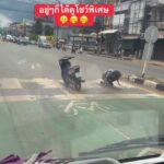 -อ.เมือง-ประเทศอุดร-แต่ละมื้อแต่ละเดย์-ล่าสุด️-อุบัติตัวตึ