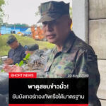 พาดูสยบข่าวมั่ว