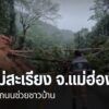 อำเภอแม่สะเรียง-จังหวัดแม่ฮ่องสอน-หน่วยงานต่างๆ-เร่งฟื้นฟูคว