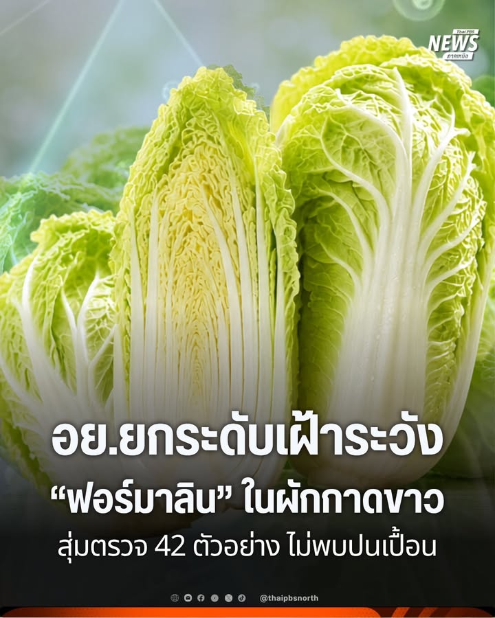 อย.เร่งเฝ้าระวัง-ฟอร์มาลิน-ผักกาดขาว-สุ่ม-42-ตัวอย่าง-ไม่พ