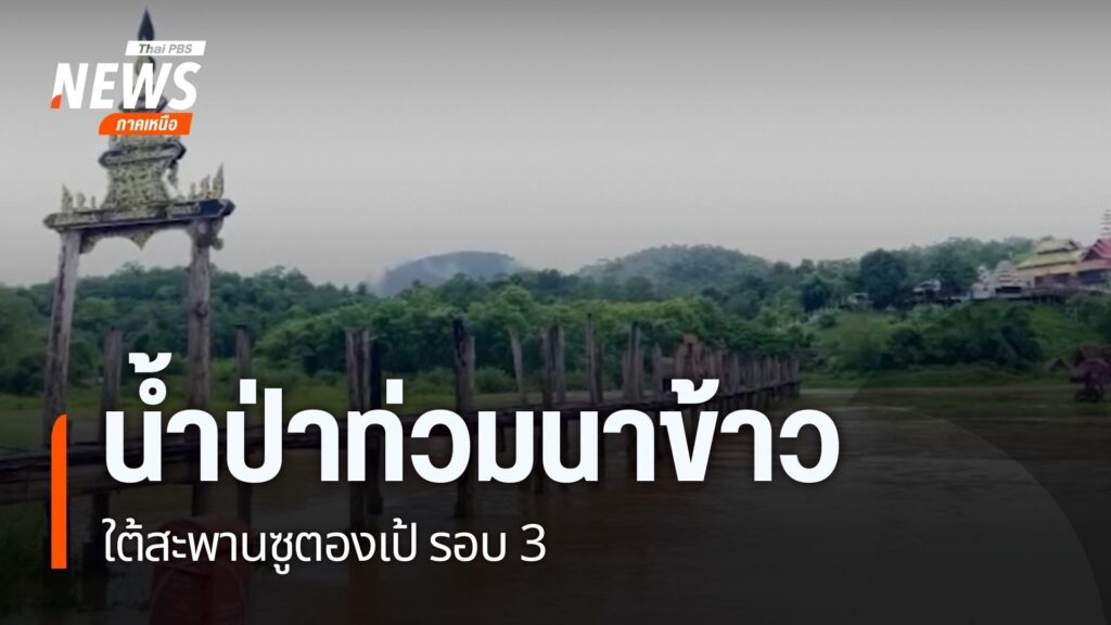 ฝนที่ตกหนัก-ทำให้น้ำป่าไหลบ่าเข้าท่วมที่นาใต้สะพานซูตองเป้-จ
