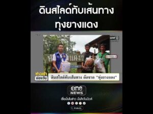 ดินสไลด์ทับเส้นทาง ทุ่งยางแดง | สำนักข่าววันนิวส์