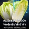 อย.-ตั้งศูนย์-eoc-รับมือ-ผักกาดขาวฟอร์มาลิน-ปูพรมตรวจ-54-ด