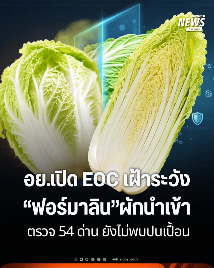 อย.-ตั้งศูนย์-eoc-รับมือ-ผักกาดขาวฟอร์มาลิน-ปูพรมตรวจ-54-ด