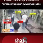 สุดเถื่อน