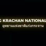 -รู้หรือไม่?-“เสือดำ”-และ-“เสือดาว”-แท้จริงแล้วคือเสือชนิดเ