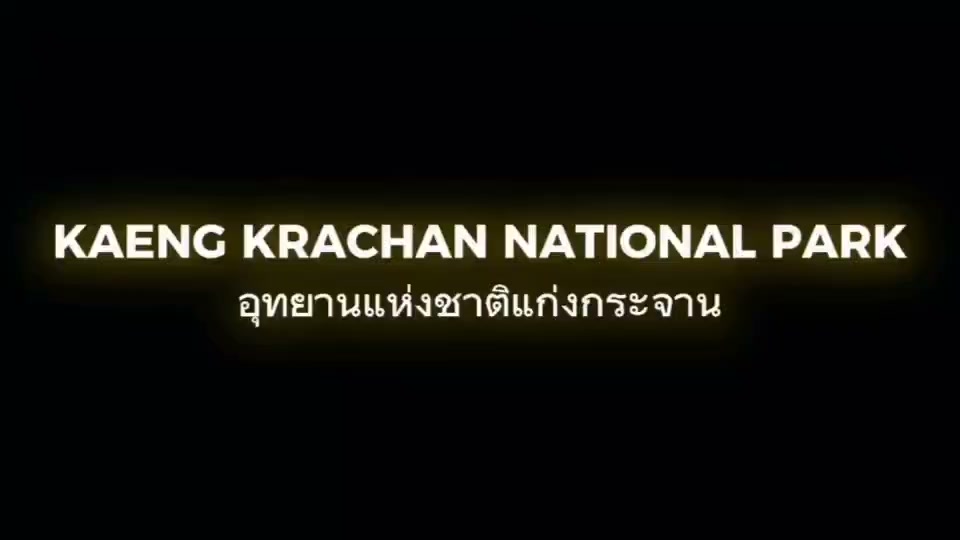 -รู้หรือไม่?-“เสือดำ”-และ-“เสือดาว”-แท้จริงแล้วคือเสือชนิดเ
