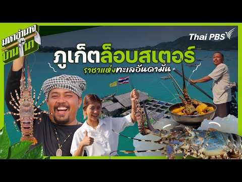 จังหวัดภูเก็ตล็อบสเตอร์ ราชาแห่งทะเลอันดามัน | มหาอำนาจบ้านนา