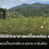 เตรียมใช้นิติวิทยาศาสตร์สิ่งแวดล้อม-ตรวจพืช-หาสาเหตุปนเปื้อน