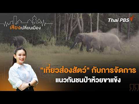 “เที่ยวส่องสัตว์” กับการจัดการแนวกันชนป่าห้วยขาแข้ง | เสียงเปลี่ยนเมือง 31 ส.ค. 69