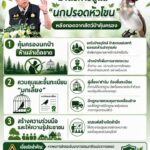กรมอุทยานแห่งชาติ​-เปิดมาตรการดูแล-“นกปรอดหัวโขน”-หลังถอดจากสัตว์ป่