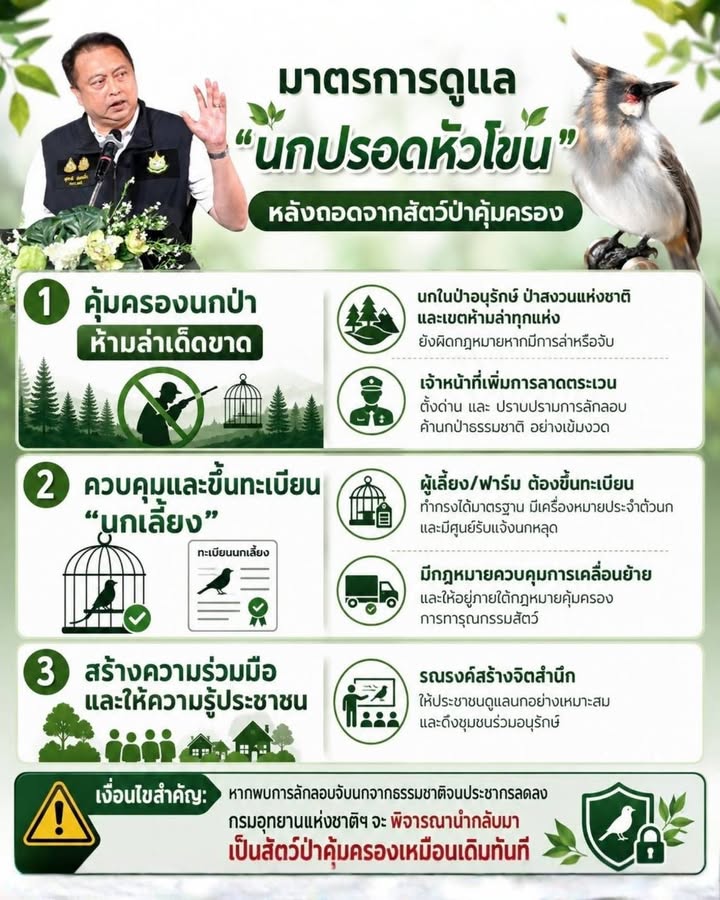 กรมอุทยานแห่งชาติ-เปิดมาตรการดูแล-“นกปรอดหัวโขน”-หลังถอดจากสัตว์ป่