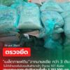 สะเดา-กรมศุลกากรตรวจพบ-เมล็ดกาแฟดิบ-ไม่สำแดงกว่า-3-ตัน-ม-|-2026-09-01-15:35:00