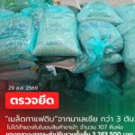 สะเดา-กรมศุลกากรตรวจพบ-เมล็ดกาแฟดิบ-ไม่สำแดงกว่า-3-ตัน-ม-|-2026-09-01-15:35:00