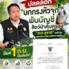 มีผลวันแรก-​-ปลดล็อค​-“นกกรงหัวจุก”จากบัญชีสัตว์ป่าคุ้มครอง