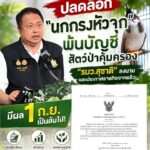 มีผลวันแรก--ปลดล็อค-“นกกรงหัวจุก”จากบัญชีสัตว์ป่าคุ้มครอง
