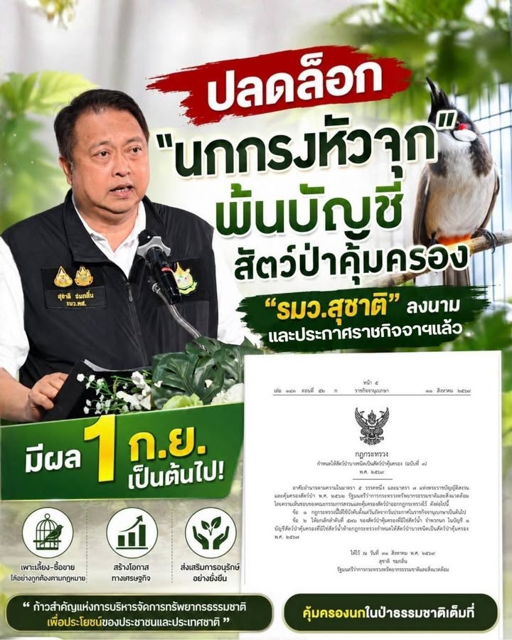 มีผลวันแรก-​-ปลดล็อค​-“นกกรงหัวจุก”จากบัญชีสัตว์ป่าคุ้มครอง