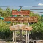 -เรื่อง-:-ภูมิปัญญา-fable-ep.8-ตอน-น้ำปลา-กู้-ป่าชายเลน-
