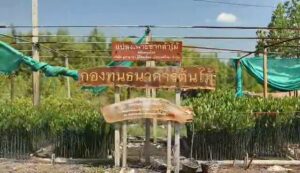 -เรื่อง-:-ภูมิปัญญา-fable-ep.8-ตอน-น้ำปลา-กู้-ป่าชายเลน-