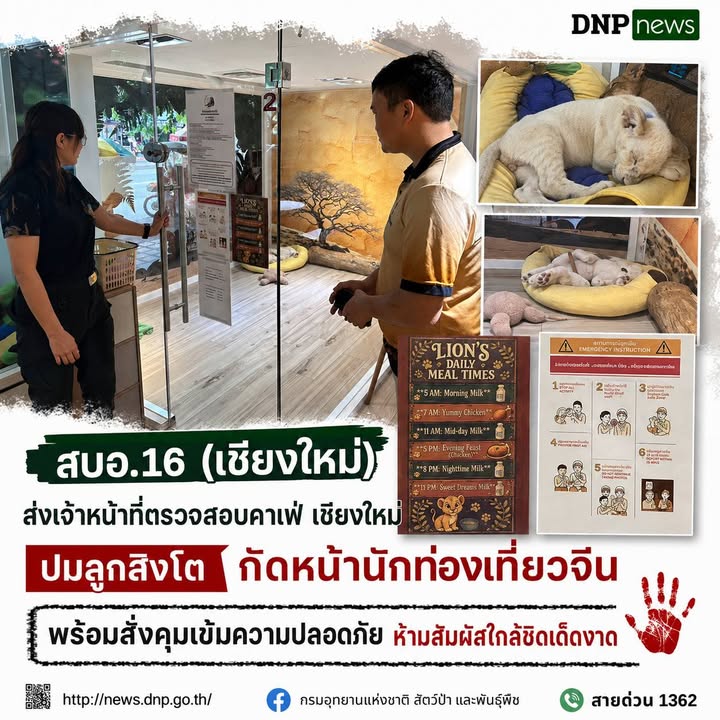 ðððð-:-สบอ.16-(เชียงใหม่)-ส่งเจ้าหน้าที่ตรวจสอบคาเฟ่-เชียงให