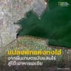 ภาพที่เห็นคือ-คือภาพจากดาวเทียม-theos-2-สำรวจแปลงผักขนาดใหญ่