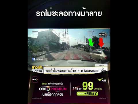 รถไม่ชะลอทางม้าลาย | สำนักข่าววันนิวส์