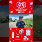 ด่วน ติดป้ายคำสั่งเพิ่ม สุสานยิวห้ามฝังศwอีก 