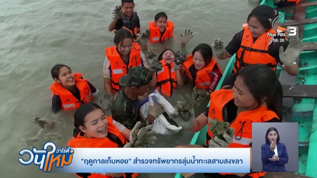 “ฤดูกาลเก็บหอย”-สำรวจทรัพยากรลุ่มน้ำทะเลสาบสงขลา-ข่าวใต้แลไ